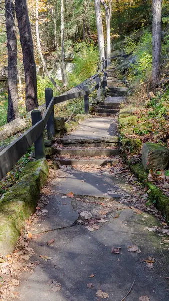 New England 'da sonbahar ormanı manzaralı yol