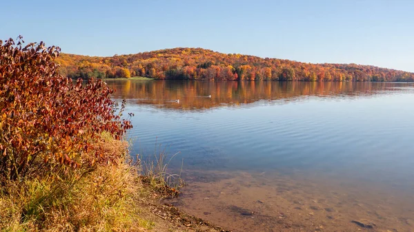 stock image scenic New England lake in autumn. High quality photo