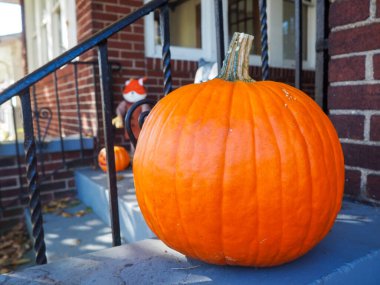 Sonbahar hala Cadılar Bayramı balkabağı. yüksek kaliteli fotoğraf