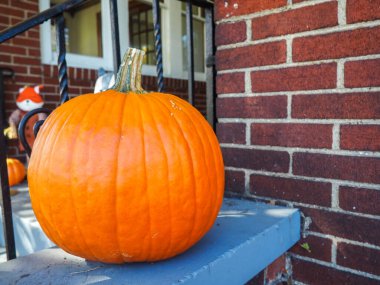 Sonbahar hala Cadılar Bayramı balkabağı. yüksek kaliteli fotoğraf