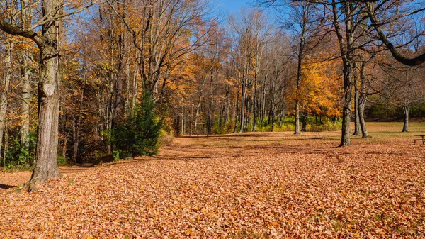 stock image scenic autumn in a New England park