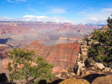 Grand Canyon Ulusal Parkı güney kenarı. yüksek kaliteli fotoğraf