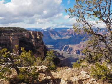 Grand Canyon Ulusal Parkı güney kenarı. yüksek kaliteli fotoğraf