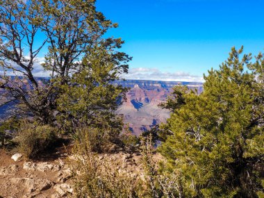 Grand Canyon Ulusal Parkı güney kenarı. yüksek kaliteli fotoğraf