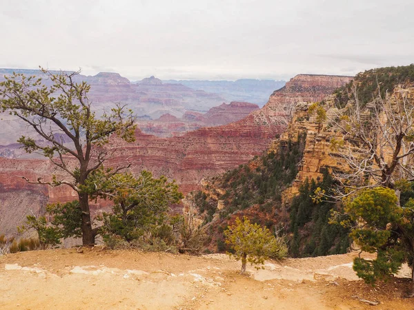 Grand Canyon Parque Nacional Borda Sul Foto Alta Qualidade — Fotografia de Stock
