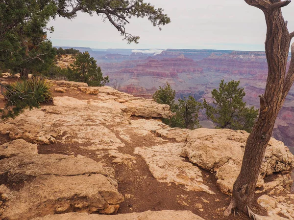 Grand Canyon Ulusal Parkı Güney Kenarı Yüksek Kaliteli Fotoğraf — Stok fotoğraf