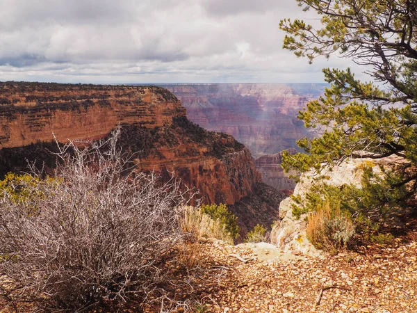 Parc National Grand Canyon Bordure Sud Photo Haute Qualité — Photo