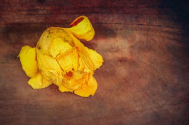 Canistel Fruit (Pouteria campechiana) (kapkek meyvesi, yumurta meyvesi, zapote amarillo veya canistel olarak da bilinir) her zaman yeşil olan bir ağaçtır.