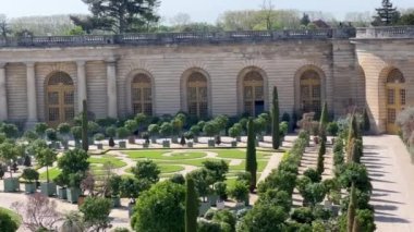 Versay 'daki Lorangerie Bahçesi. Versailles ve Garden Sarayı, Fransa 'da Paris. Versay Şatosu Bahçesi. Orangeraie du chateau. Doğanın güzel manzarası, harika bir bahçe. Palmiye ağaçları 