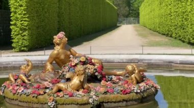 Versay 'daki Lorangerie Bahçesi. Versailles ve Garden Sarayı, Fransa 'da Paris. Versay Şatosu Bahçesi. Orangeraie du chateau. Doğanın güzel manzarası, harika bir bahçe. Palmiye ağaçları 