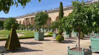 Versay 'daki Lorangerie Bahçesi. Versailles ve Garden Sarayı, Fransa 'da Paris. Versay Şatosu Bahçesi. Orangeraie du chateau. Doğanın güzel manzarası, harika bir bahçe. Palmiye ağaçları 