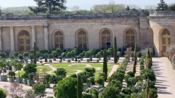 Κήπος Λουλούδια Στις Βερσαλλίες Παλάτι Των Βερσαλλιών Και Του Κήπου — Αρχείο Βίντεο