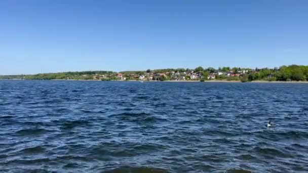夏の終わりに青い湖の岸に木 高品質4K映像 ライフスタイル 不動産 退職コンテンツ 美しい自然景観 穏やかな湖を眺めましょう — ストック動画