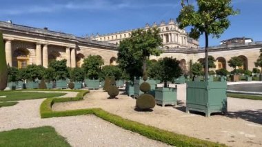 Versay 'daki Lorangerie Bahçesi. Versailles ve Garden Sarayı, Fransa 'da Paris. Versay Şatosu Bahçesi. Orangeraie du chateau. Doğanın güzel manzarası, harika bir bahçe. Palmiye ağaçları 