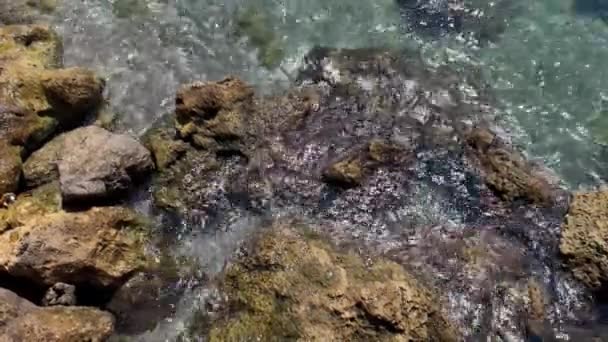 Vista Las Olas Del Océano Rompiendo Playa Rocosa Imágenes Alta — Vídeos de Stock