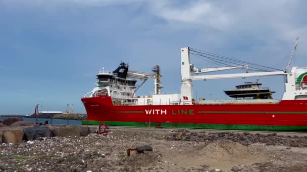 Üzleti Hajózási Rakománykonténerek Export Csere Rémhajó Nyílt Tengeren Teherhajó Hajózik — Stock videók