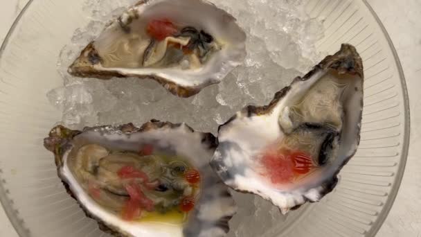 Fresh Opened Oysters Plate Ice Lemon High Quality Footage Plate — Stock Video