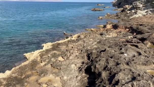 Widok Wybrzeże Morza Śródziemnego Morze Śródziemne Kreta Grecja Kalyvia Bay — Wideo stockowe