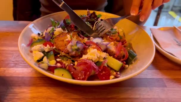 Ernährungsmenü Gesunder Salat Mit Frischem Gemüse Tomaten Avocado Rucola Rettich — Stockvideo