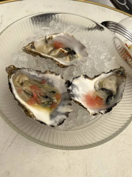 Fresh opened oysters in a plate with ice and lemon. High quality 4k footage. A plate of oysters. Seafood. Fresh oysters close-up on plate, served table with oysters, lemon in restaurant. Gourmet food