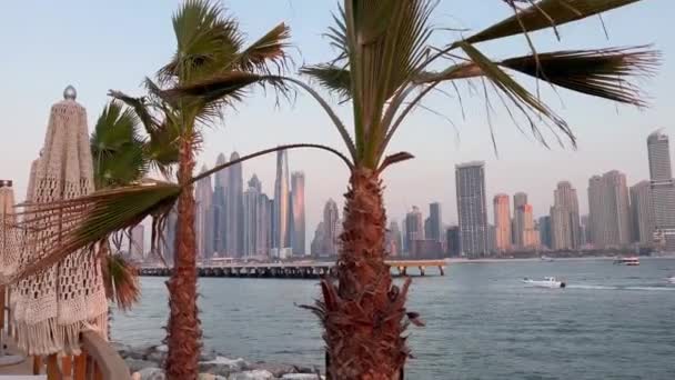 Dubai Jumeirah Plajı Bae Marina Gökdelenleri Var Dubai Marina Bölgesinde — Stok video
