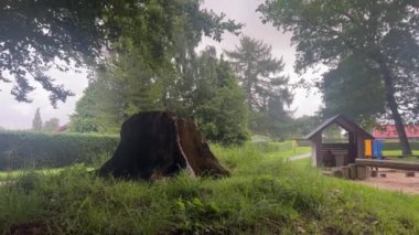 Danimarka 'da köy hayatı. Köyden geçen yol. Nordby, Samsoe, Jutland. Kasabanın caddesi. Thatched evi. Eski kasabadaki renkli geleneksel evler. Tipik küçük bir kasabada sokak. Güzel bir yaz günü.. 