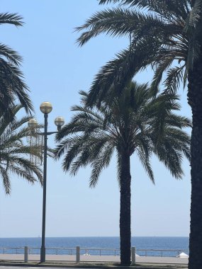 Nice, Fransız Rivierası 'ndaki İngiliz gezinti yolu ve plajı. Nice 'teki Gezinti Güvertesi. Nice, her yıl 4 milyon ziyaretçinin katıldığı popüler bir Akdeniz turizm beldesi.