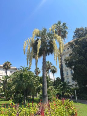 Nice, Fransız Rivierası 'ndaki İngiliz gezinti yolu ve plajı. Nice 'teki Gezinti Güvertesi. Nice, her yıl 4 milyon ziyaretçinin katıldığı popüler bir Akdeniz turizm beldesi.