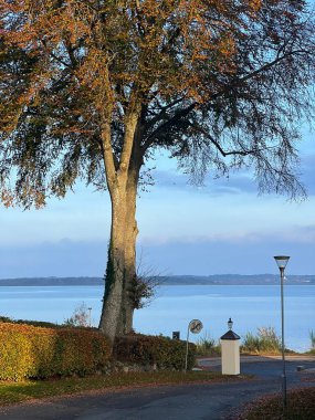 Kasabada kırmızı çatılı beyaz evler, renkli altın rengi günbatımı gökyüzü sakinlik, dinlendirici güneş ışığı titreşimleri. Özel bahçe gibi park et. Ormandaki patika. Atla