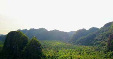 Halong Körfezi 'nin rüya gibi günbatımı manzarası, Çayırdan Vietnam manzarası. Burası UNESCO Dünya Mirası Alanı. Kuzey Vietnam 'da çok güzel bir doğa harikası. Vietnam Halong Körfezi. Denizde bir ada. İHA 