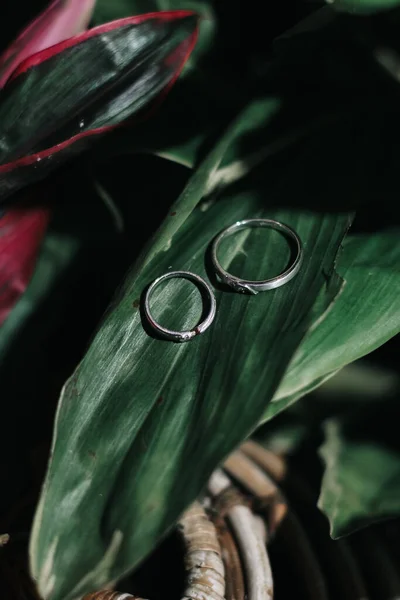 Pair Rings Leaf — Stock Photo, Image