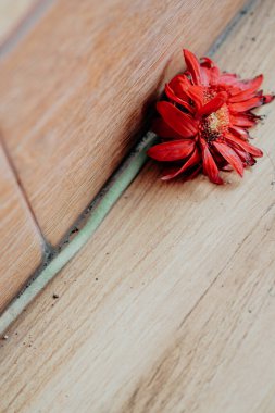 Tek bir kırmızı çiçek yerde yatıyordu.