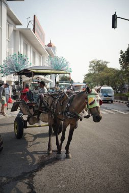 Horse and cart or Delman as transportation at kota tua, jakarta clipart