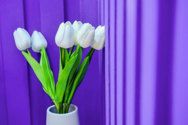 Mavi arkaplanda vazodaki beyaz laleler