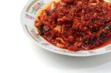 Sambal cumi ya da Endonezya baharatlı mürekkep balığı, tabakta servis edilir ve izole edilmiş gri arka plan