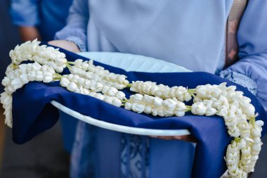 Jasmine 'in çiçek kolyesinin fotoğrafını tepsiye koy. Makale için iyi