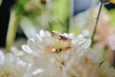 Çiçeklere takılmış bir çift alyans, arka plana iyi gelir.