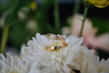 Çiçeklere takılmış bir çift alyans, arka plana iyi gelir.