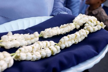 Jasmine 'in çiçek kolyesinin fotoğrafını tepsiye koy. Makale için iyi