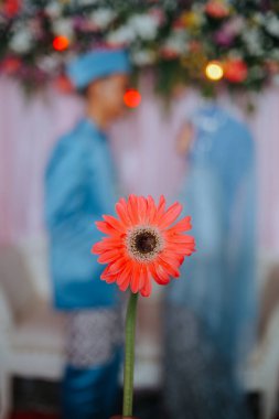 Gelin ve damadın bulanıklaşması, önündeki çiçeğe odaklan, makale ya da arka plan için iyidir.