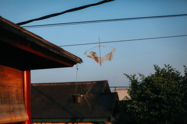 Uçurtma bir elektrik kablosuna takıldı ve hasar gördü.