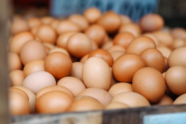 Sepette yumurtalar, yakın çekim, seçici odak