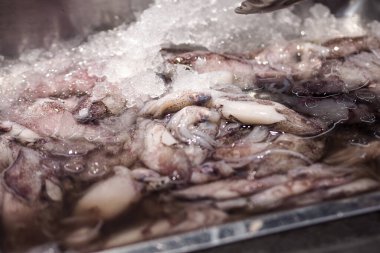 Satılık mürekkep balığı.