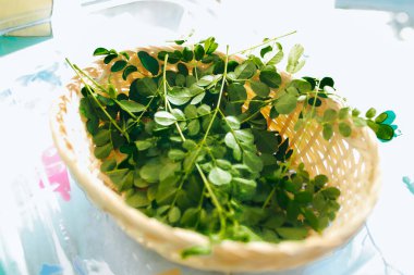 Moringa yapraklarını rattan konteynırda kapat