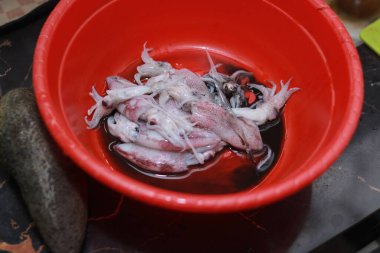 Tabaktaki çiğ mürekkep balığı.