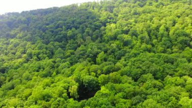 Bu video Catskills 'de ağaçlık bir kulübe görüntülerini gösteriyor..  