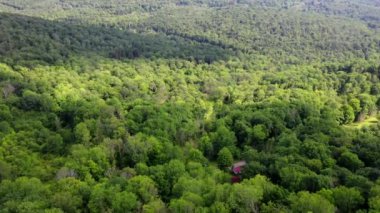 Roscoe, ABD 'nin New York eyaletinde yer alan bir köydür. Roscoe, Rockland kasabasının güneybatısında, New York State Route 17 'nin bitişiğinde. İsmini New York Senatörü Roscoe Conkling 'den almıştır. Roscoe kendine 