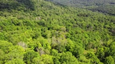 Roscoe, ABD 'nin New York eyaletinde yer alan bir köydür. Roscoe, Rockland kasabasının güneybatısında, New York State Route 17 'nin bitişiğinde. İsmini New York Senatörü Roscoe Conkling 'den almıştır. Roscoe kendine 