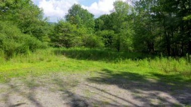 Catskills 'in güzel bir manzarası var. Catskill Dağları (ayrıca Catskills olarak da bilinir), güneydoğu New York 'ta bulunan büyük Appalachian Dağları' nın bir fizyografik eyaletidir..