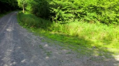 Catskills 'in güzel bir manzarası var. Catskill Dağları (ayrıca Catskills olarak da bilinir), güneydoğu New York 'ta bulunan büyük Appalachian Dağları' nın bir fizyografik eyaletidir..